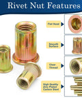 Rivet nuts set: zinc-plated carbon steel, 1/4-20, flat head with knurled body and deep threads.