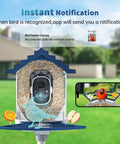 Smart Bird Feeder With Camera, Solar Powered Outdoor Feeder With AI Bird Identification, 2.4Ghz WiFi, 2K Live Video device shown