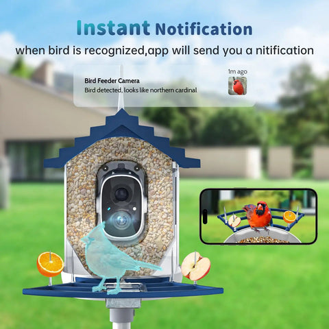 Smart Bird Feeder With Camera, Solar Powered Outdoor Feeder With AI Bird Identification, 2.4Ghz WiFi, 2K Live Video device shown