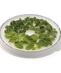 Basil, cilantro, and parsley on stackable tray of Smooth Operator Digital Electric Food Dehydrator With Stackable Trays.