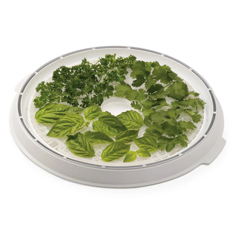 Basil, cilantro, and parsley on stackable tray of Smooth Operator Digital Electric Food Dehydrator With Stackable Trays.