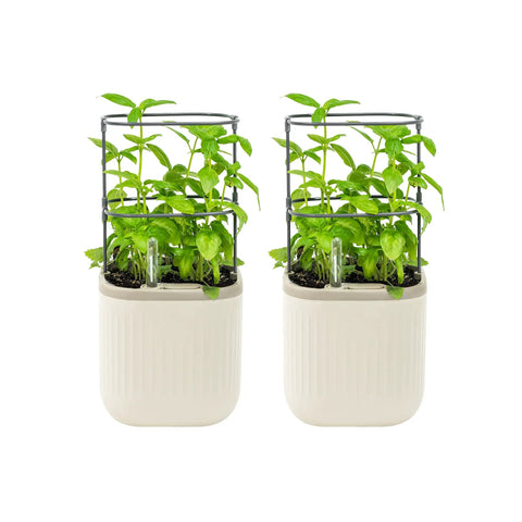 Cream white indoor garden mini planter with trellis self watering system for climbing vegetables and herbs countertop planter box 2 pack