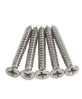 Premium Satin Nickel Wood Screws For Door Hinges And Cabinet DIY Projects Flat Head Phillips Drive Screw Pack arranged in a line.