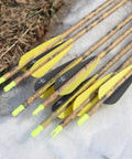 28 Inch Carbon Arrows For Target And Hunting, Spine 500, 0.309 Inch Outer Diameter, pack of 12 displayed on snow