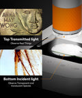 Kids Microscope Handheld Digital Miniscope With Stand Mode For Indoor And Outdoor Learning Built For Ages 5 To 18 Totally Awesome For Biology Geology Coins And More A Fun Educational Science Toy For Curious Minds, top and bottom light base