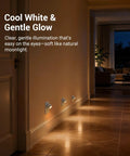 Easy Plug In Dusk To Dawn Night Light With 360 Degree Rotating LED, Warm Glow in hallway, Auto On Off Sensor, UL Listed