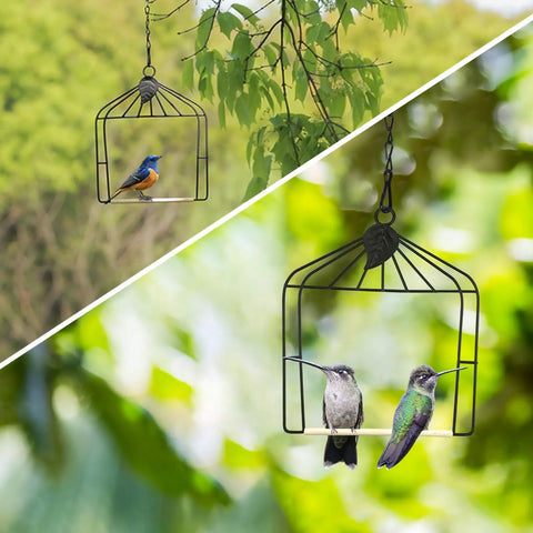 Outdoor Bird Swing With Metal Frame And Wooden Dowel Perch For Finches And Hummingbirds, Rust Resistant Durable Two Pack