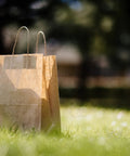 Brown Kraft Paper Bags With Handles 10x5x13 Inches 500 Pack Durable Reusable Eco Friendly Shopping Gift Bags For Party Merchandise Lunch Grocery Use Everyday shown on grass with handles visible