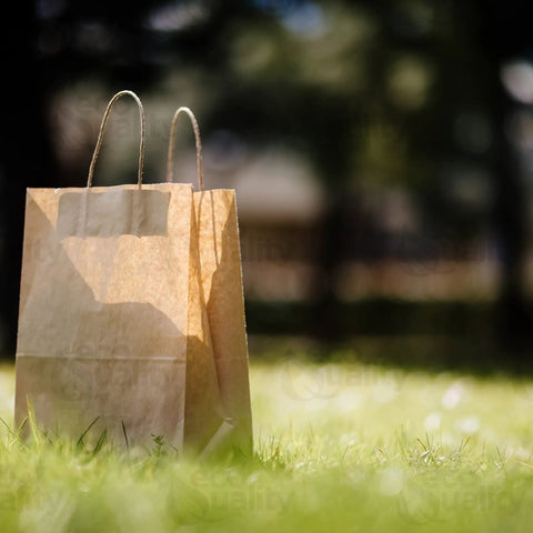 Brown Kraft Paper Bags With Handles 10x5x13 Inches 500 Pack Durable Reusable Eco Friendly Shopping Gift Bags For Party Merchandise Lunch Grocery Use Everyday shown on grass with handles visible