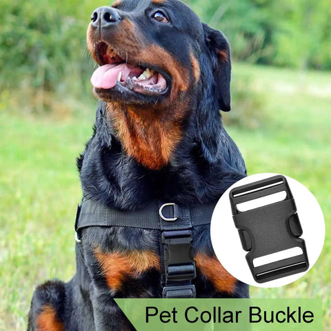 Black plastic pet collar buckle showcased on a dog wearing a black harness outdoors, indicating its use in pet gear.
