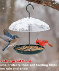 Outdoor Platform Bird Feeder With 12 Inch Weatherproof Dome And Squirrel Resistant Tray 2 Lb Seed Capacity 360 Degree Feeding Easy Hang Green Backyard Feeder For All Birds with two birds feeding