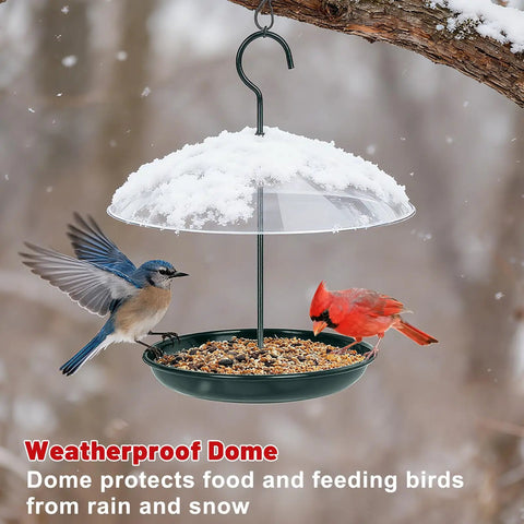 Outdoor Platform Bird Feeder With 12 Inch Weatherproof Dome And Squirrel Resistant Tray 2 Lb Seed Capacity 360 Degree Feeding Easy Hang Green Backyard Feeder For All Birds with two birds feeding