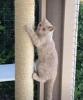 Cat climbing a scratching post wrapped with Natural Sisal Rope Replacement For Cat Tree And Scratching Post 164Ft Durable Scratcher Rope