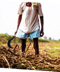 Farmer holding Manganese Steel Long Handle Scythe For Gardening in field, ready for efficient outdoor grass removal and weed cultivation.