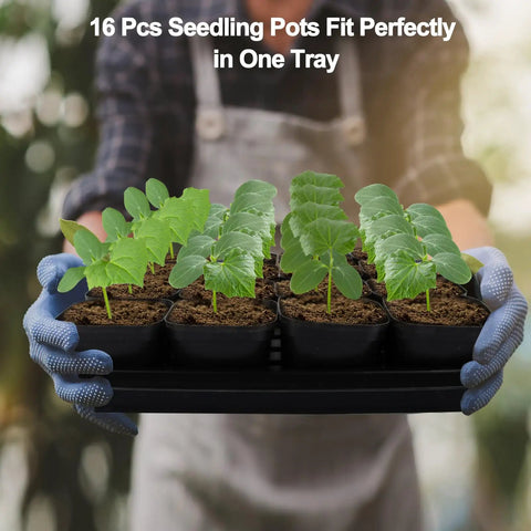 80 Count Two Point Five Inch Square Seedling Pots With Five Seed Starting Trays Kit For No Fuss Germination Drain Hole Nursery Pots displayed in tray