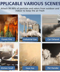 Smoke and pollution sources for air filter: forest fires, industrial gases, car exhaust, kitchen smells, haze, pet dander.