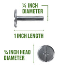 Top Shelf Stainless Steel Combo Sidewalk Bolts One Quarter By One Inch Truss Head Fasteners dimensions showing 1 inch length and 1/4 inch diameter.