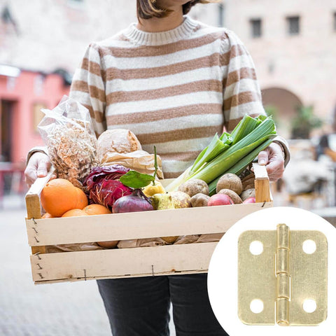 Person holding a basket of vegetables with an inset of 20 Pieces Dollhouse Mini Hinges Hardware Set For Small Furniture Cabinets And Closets 1 To 12 Scale With 80 Screws Yellow Antique Brass Finish Durable Stainless Steel Alloy Perfect For Jewelry Boxes And Dollhouse Miniatures
