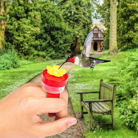 Hand using Grab And Go Four Piece Hummingbird Ring Feeder Kit With Handheld Bird Feeders Outdoors