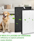 Replacement Filter Set For Air Purifier Series 1000 And 1000i With True HEPA Filter And Activated Carbon in living room with dog