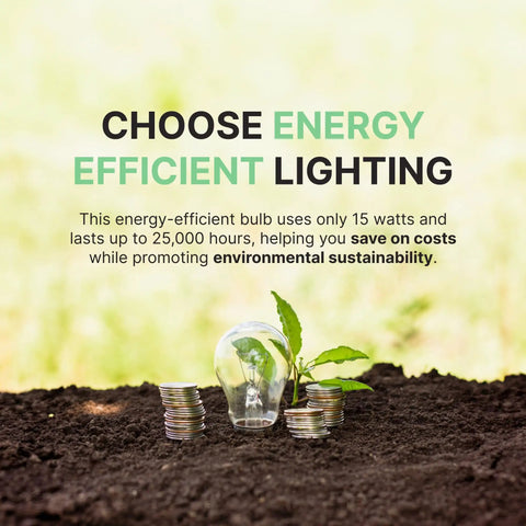 Energy-efficient lighting with bulb, plant, and coins on soil background