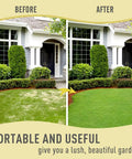 Before and after using Manual Spike Lawn Aerator With Four 3.5 Inch Solid Steel Spikes on compacted lawn for lush grass.