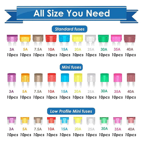 Assorted fuses from 304 Piece Fuse Assortment Kit With 3A To 40A Standard And Low Profile Fuses Heavy Duty Go To Puller Circuit Tester
