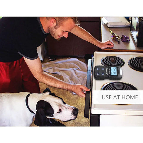 Man using Dope 4 In 1 Gas Detector Handheld Rechargeable Portable Gas Clip Monitor near stove with dog nearby