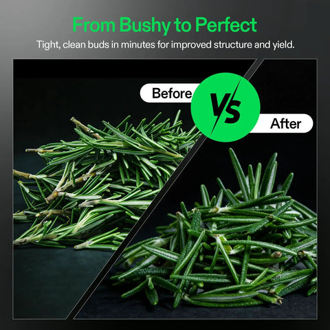 Comparison of before and after using 13 Inch Bud Leaf Bowl Trimmer with clear visibility dome and sharp stainless steel blades.