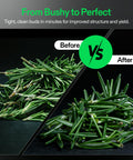Before and after comparison of leaves trimmed with 19 Inch Bud Leaf Bowl Trimmer With Clear Visibility Dome, Sharp Stainless Steel Blades For Spin Cut, Solid Metal Gear Box, Ergonomic Handle And Hand Pruner, Upgraded Version For Smooth, Efficient Trim.