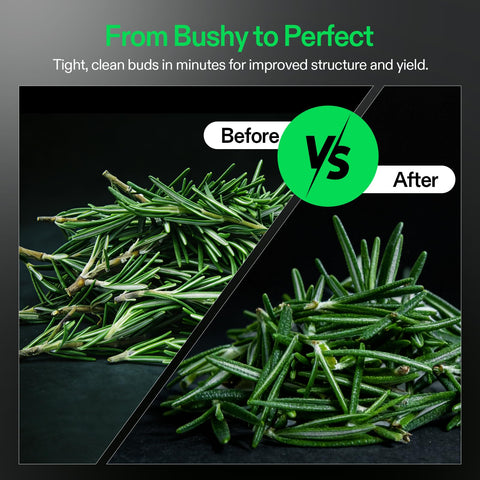 Before and after comparison of leaves trimmed with 19 Inch Bud Leaf Bowl Trimmer With Clear Visibility Dome, Sharp Stainless Steel Blades For Spin Cut, Solid Metal Gear Box, Ergonomic Handle And Hand Pruner, Upgraded Version For Smooth, Efficient Trim.