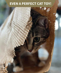 Cat peeking out from stretchy Kraft honeycomb packing paper, showcasing Top Tier Honeycomb Packing Paper Bubble Wrap Alternative for use.