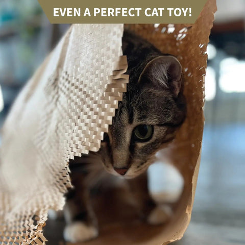Cat peeking out from stretchy Kraft honeycomb packing paper, showcasing Top Tier Honeycomb Packing Paper Bubble Wrap Alternative for use.