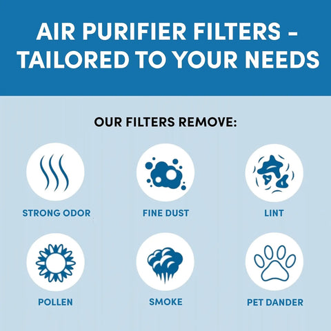 Infographic showing air purifier filter benefits, removing odor, dust, lint, pollen, smoke, and pet dander for clean air.