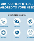Infographic showing benefits of Replacement HEPA Filter 2 Pack For Dyson TP01 TP02 TP03 BP01, removing odors, dust, smoke, pet hair.