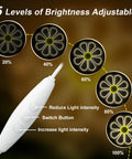 Brightness control for Flower Neon Sign Daisy Window Light LED Warm White For Bedroom Decor, showing 5 levels from 20% to 100%.