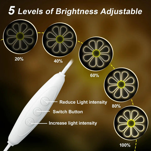 Brightness control for Flower Neon Sign Daisy Window Light LED Warm White For Bedroom Decor, showing 5 levels from 20% to 100%.