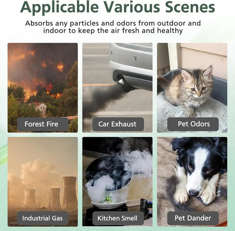 Image showing forest fire, car exhaust, pet odors, industrial gas, kitchen smell, and pet dander affecting indoor air quality.