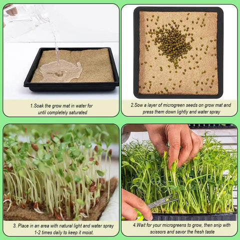 Collage showing steps using Jute Microgreens Growing Mat Roll For Hydroponic Trays 10 Inch By 220 Inch Seed Germination Pad Kit