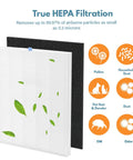 HEPA Replacement Filters For C545 Air Purifier With Activated Carbon shown capturing dust, pollen, odors, and smoke particles
