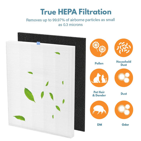 HEPA Replacement Filters For C545 Air Purifier With Activated Carbon shown capturing dust, pollen, odors, and smoke particles