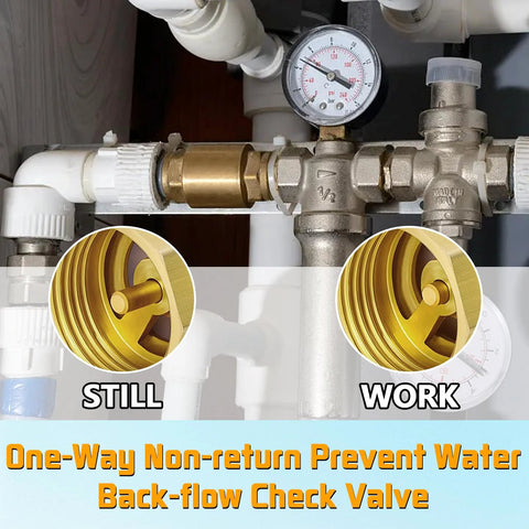 Boltigen solid brass spring check valve, 1-1/2 in NPT female thread, inline water backflow preventer installed in piping