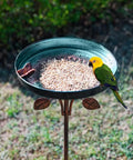 38 Inch Vintage Bird Bath With Five Prong Stake For Outdoor Gardens - Metal yard bird bath decor with butterfly edge and parrot