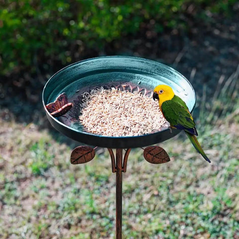 38 Inch Vintage Bird Bath With Five Prong Stake For Outdoor Gardens - Metal yard bird bath decor with butterfly edge and parrot