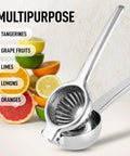 Go-To Stainless Steel Lemon Squeezer, Heavy Duty Manual Citrus Press And Lime Juicer with fruit slices, rust free and durable.