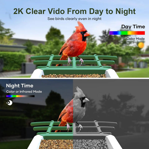 Day and night view of Solar Powered Bird Feeder With Camera For Outdoor Use AI Recognition And Real Time Alerts Wireless Bird House Viewable On Your Phone Treat Birds With Fruit Or Suet And Enjoy Bird Watching From Anywhere Perfect Gift For Mom Or Dad showcasing a cardinal bird.