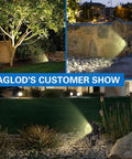 Image of a 20W Led Outdoor Landscape Spotlight Kit With Stake Waterproof 12V To 24V AC DC Low Voltage Garden Lighting illuminating trees in a garden.