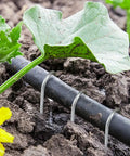 Six Inch Galvanized Garden Stakes 150 Pack securing irrigation tubing in garden soil with visible plants.