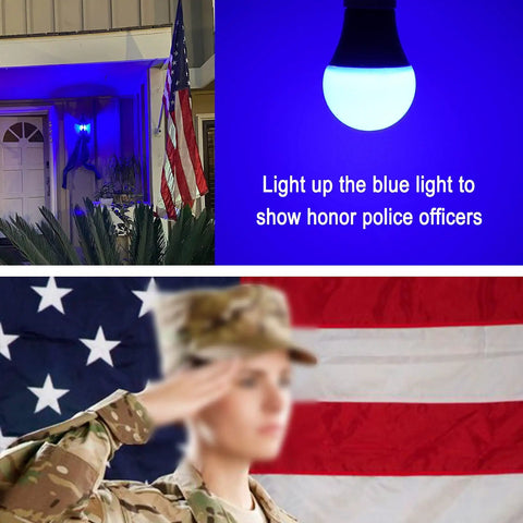 Blue LED Bulb A19 Base E26 Socket 9W 60W Equivalent Chill Blue Glow For Outdoor Porch Lighting Christmas Halloween Party Decor
