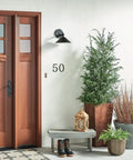 Ripley 10 Inch Wide One Light Outdoor Wall Light In Olde Bronze Finish on porch with plants and wooden door